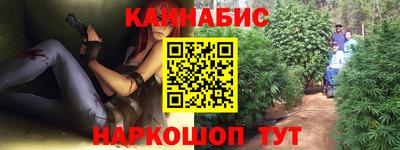 стафф Камышлов