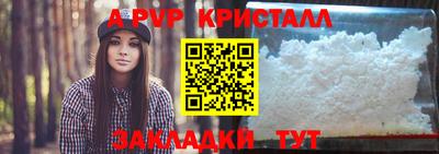 стафф Камышлов