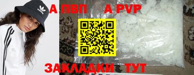 стафф Камышлов