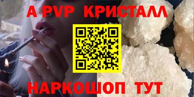 стафф Камышлов