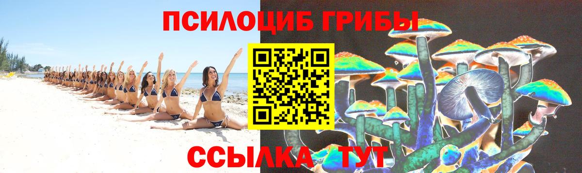 наркотики  Псилоцибиновые грибы мухоморы  Вход с VPN  Раменское 